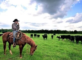 The Lean Farmer: Desirable Attributes of a Lean Coach