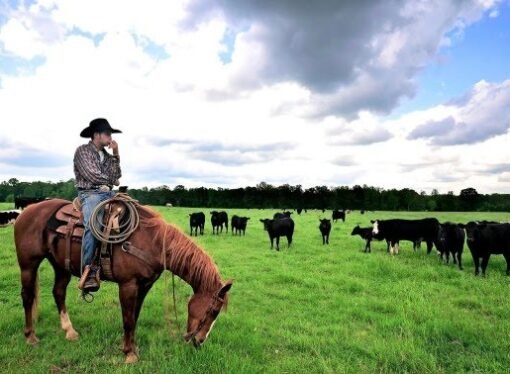 The Lean Farmer: Desirable Attributes of a Lean Coach