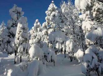 Lean Lessons from a Snowstorm