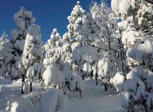 Lean Lessons from a Snowstorm