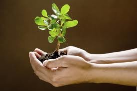 You can’t motivate people, but you can help them.