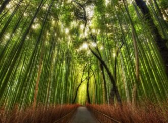 Resistance to Change is Futile, You Will Be Assimilated