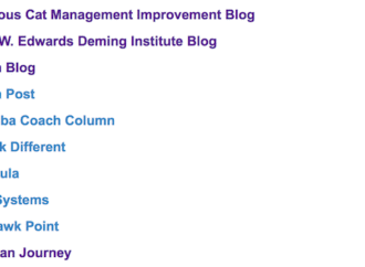Recognition: Top 10 Management Improvement Blogs