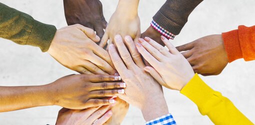 Building a Successful Team