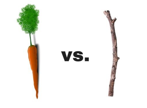 Motivating Employees Is Not About Carrots or Sticks