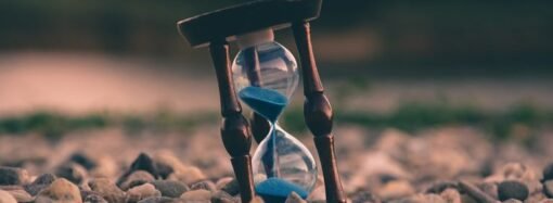 Why Project Management Is Critical for Business Profitability