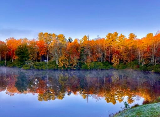Autumn is the Season for Reflection and Gratitude