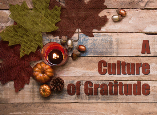 Build a Culture of Gratitude at Work