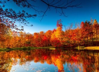 Five Lessons the Fall Season Teaches Us About Life