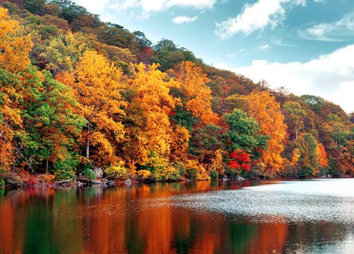 Business Lessons from the Fall Season to Embrace Change