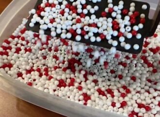 The Red Bead Experiment Still Matters — and Now It’s Online
